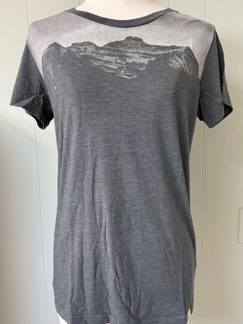 tentree Mountain Graphic T-Shirt Heather Gray Organic Cotton Blend Size Small